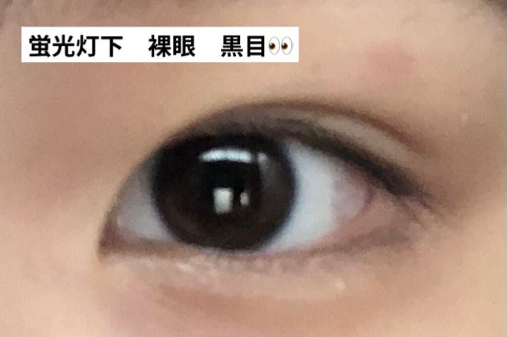 TOPARDS 1day/TOPARDS/ワンデー(1DAY)カラコンを使ったクチコミ(2枚目)