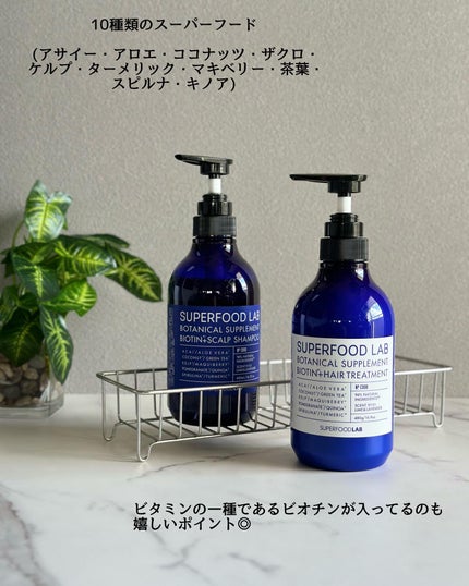 BT+スカルプ シャンプー/トリートメント シャンプー/トリートメント セット/SUPERFOOD LAB/市販シャンプーの画像