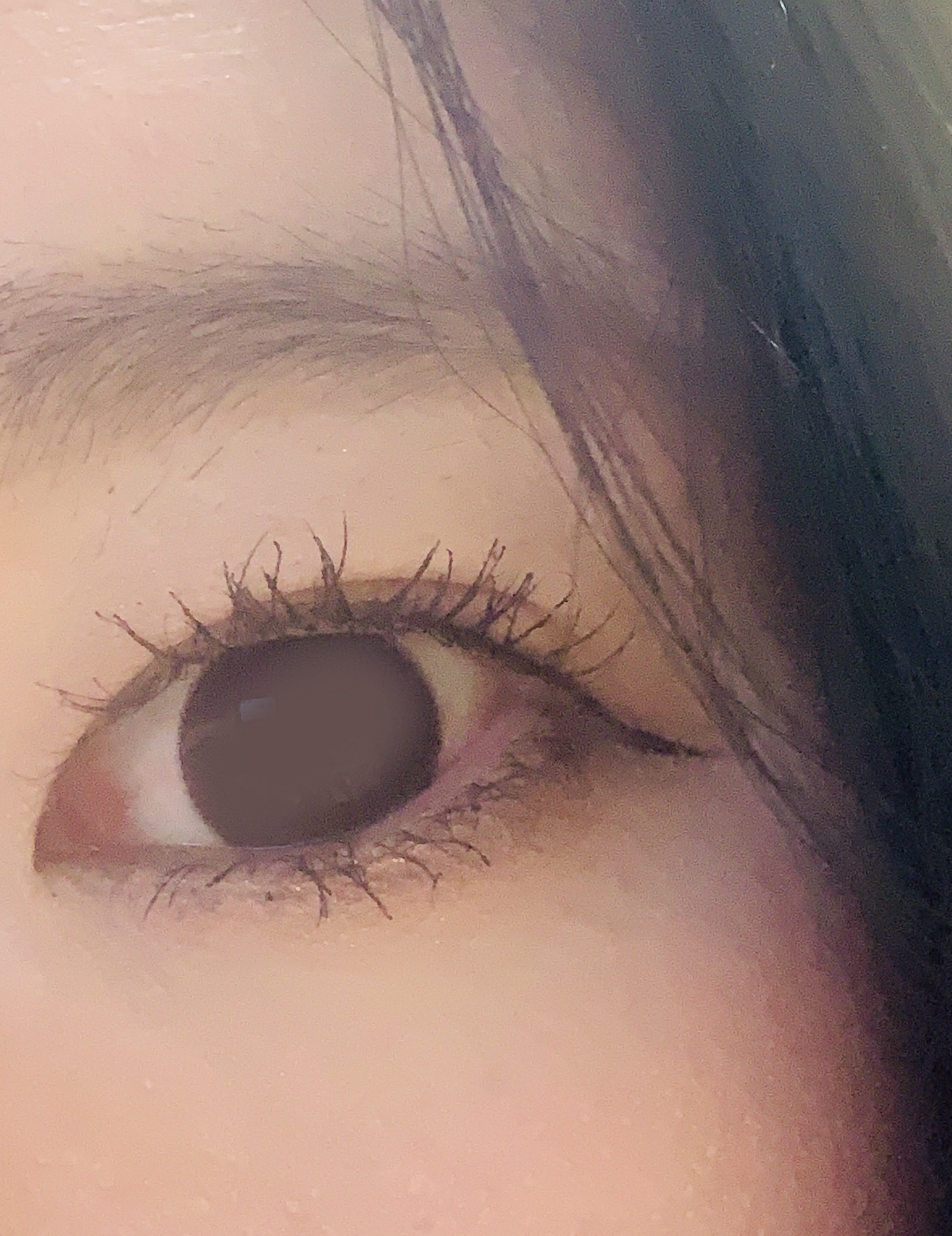 アイラッシュカーラー/セリア/ビューラーを使ったクチコミ（2枚目）