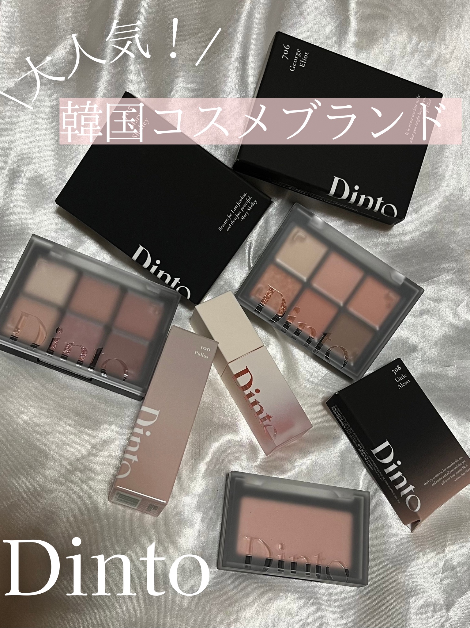 ブラーフィニシュシャドウパレット/Dinto/アイシャドウパレットを使ったクチコミ（1枚目）