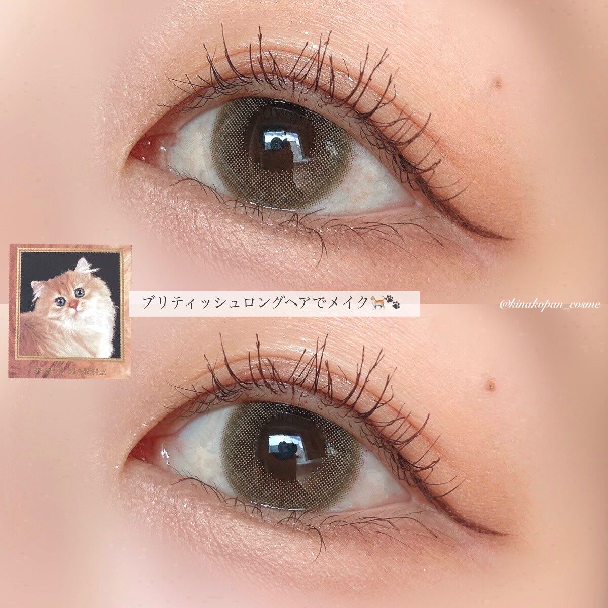 Venus Marble アイシャドウキャットシリーズ/Venus Marble/アイシャドウパレットを使ったクチコミ(7枚目)