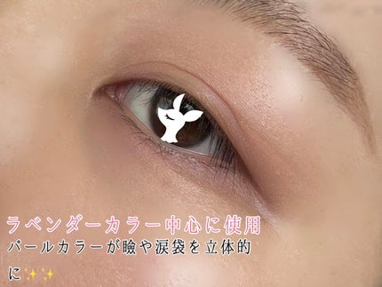 ザ ワイルドフラワー アイシャドウ パレット/ローラ メルシエ/マルチパレットを使ったクチコミ(4枚目)