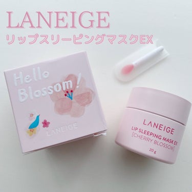 リップスリーピングマスク/LANEIGE/リップケア・リップクリームを使ったクチコミ（1枚目）