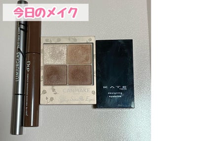 シルキースフレアイズ(マットタイプ)/キャンメイク/アイシャドウパレットを使ったクチコミ(1枚目)