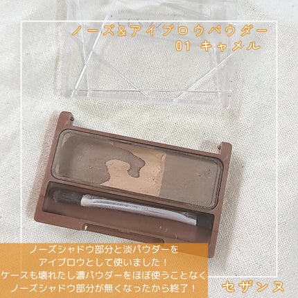 ノーズ&アイブロウパウダー/CEZANNE/パウダーアイブロウを使ったクチコミ(2枚目)