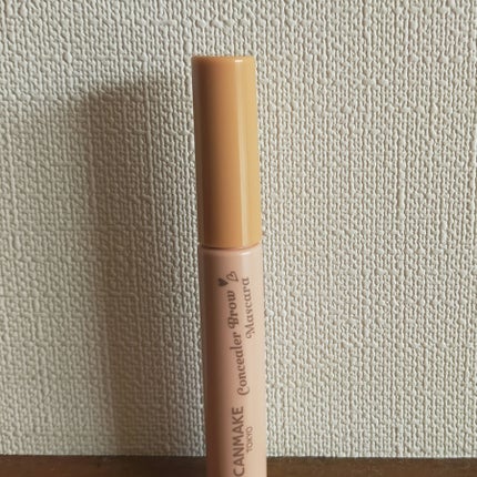 コンシーラーブロウマスカラ/キャンメイク/その他アイブロウを使ったクチコミ(1枚目)