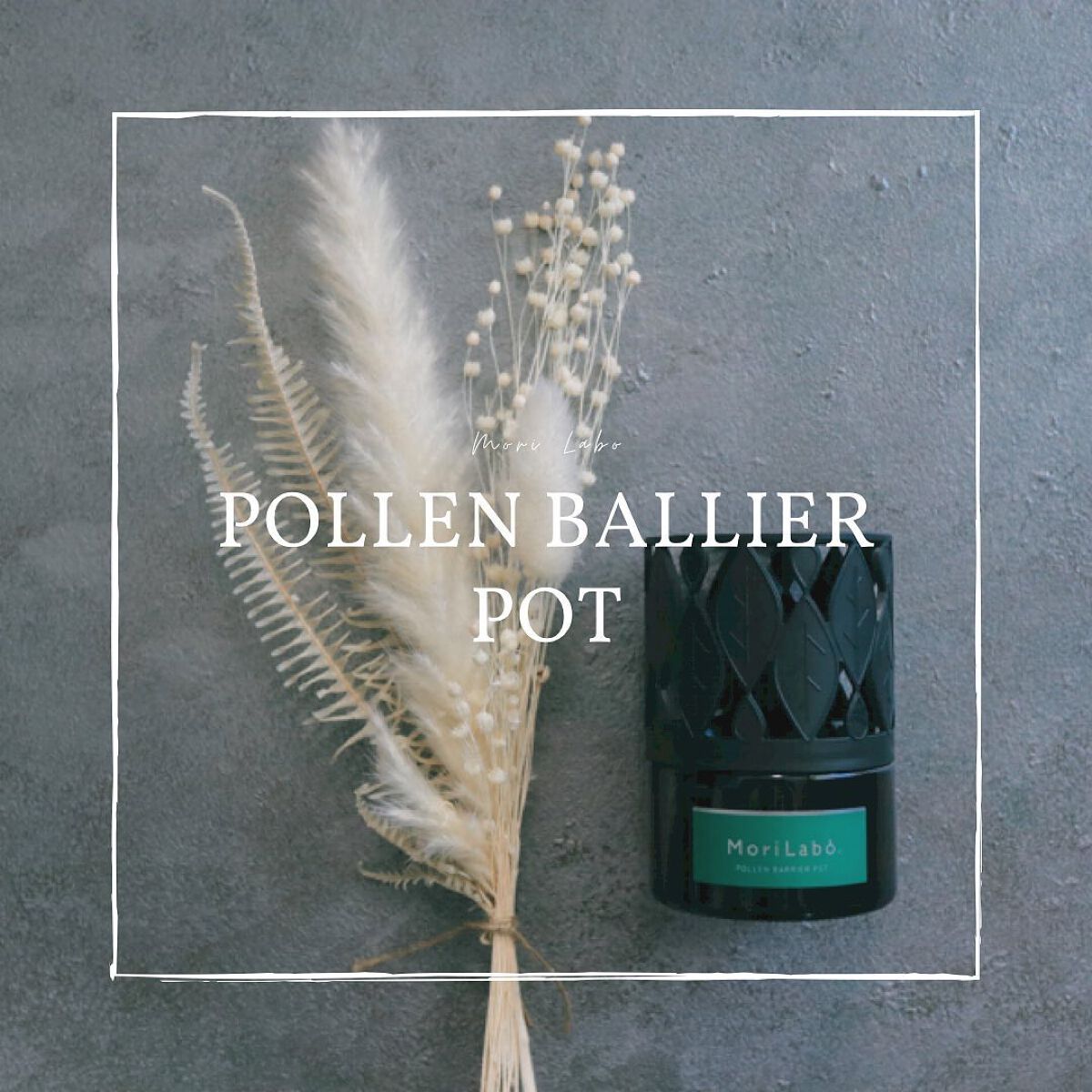 MoriLabo ナイトケア 花粉バリアポット/エステー/その他を使ったクチコミ(1枚目)