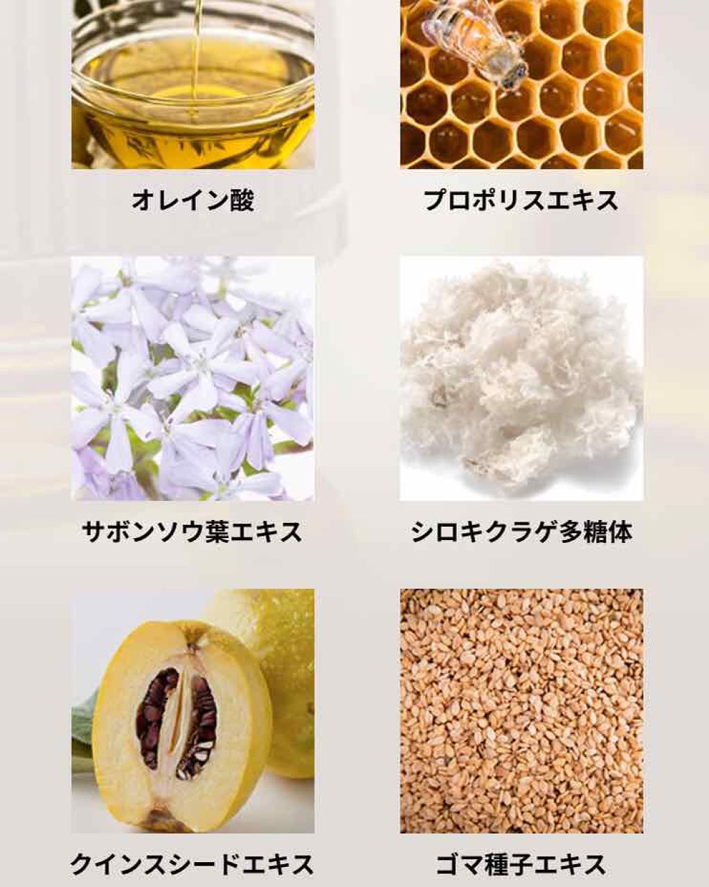 フェイスウォッシュ フローラルハーブ/Mellsavon/洗顔フォームを使ったクチコミ（2枚目）