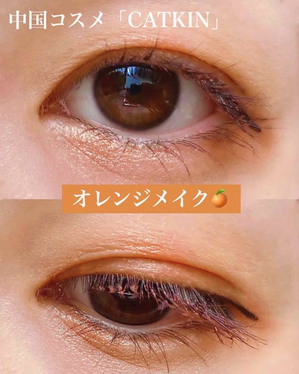 長相思シリーズ 9色アイシャドウパレット/CATKIN/アイシャドウパレットを使ったクチコミ(1枚目)