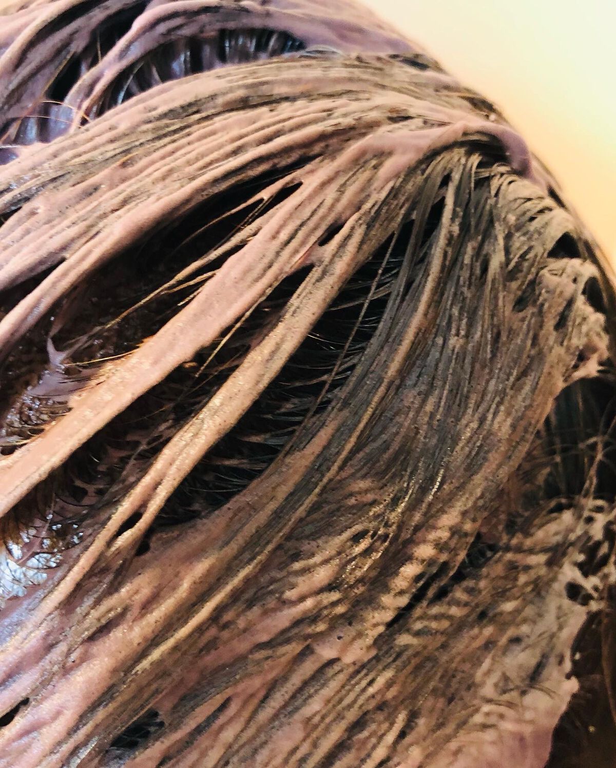 ボタニカルエアカラーフォーム/ヘアボーテ エクラ/ヘアカラーを使ったクチコミ(5枚目)