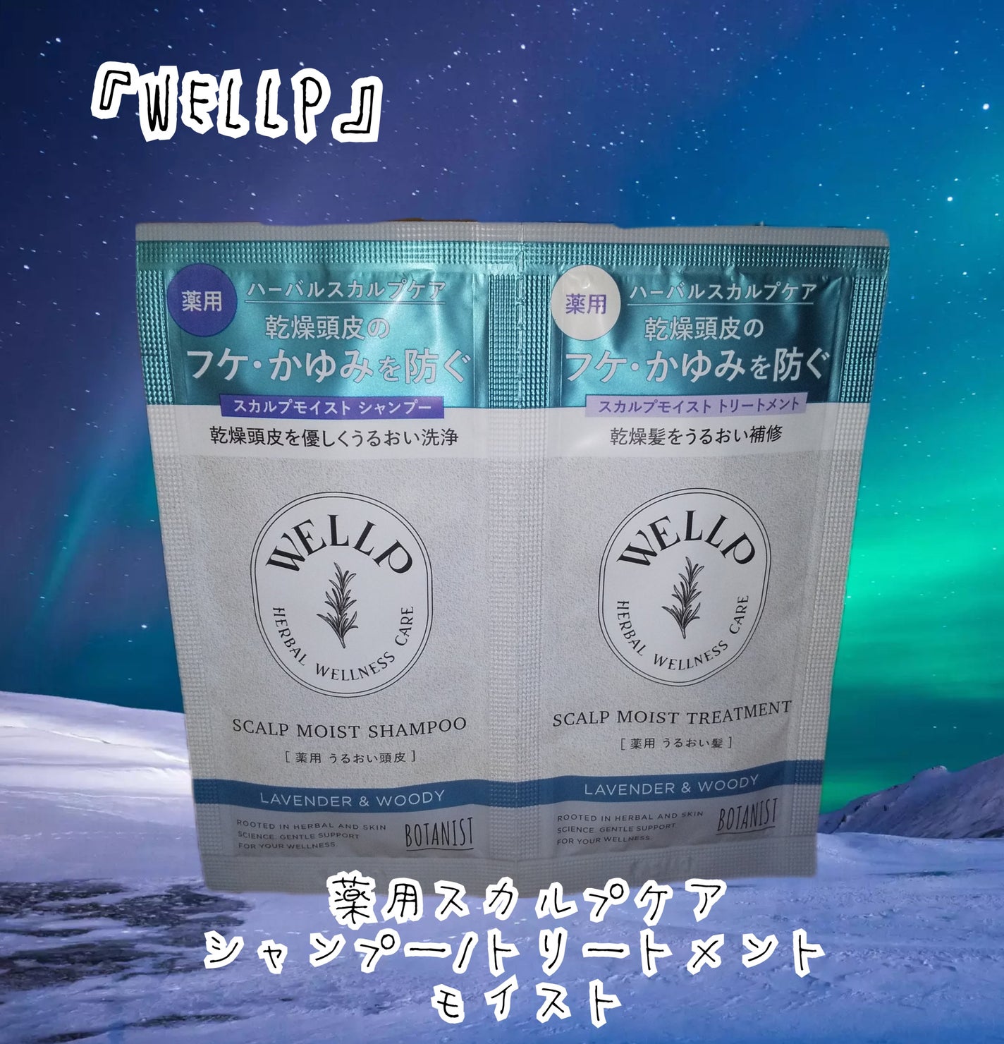 薬用スカルプケアシャンプー/トリートメント モイスト/WELLP/市販シャンプーを使ったクチコミ(1枚目)