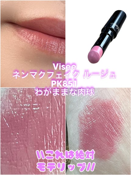 ネンマクフェイク ルージュ/Visée/口紅を使ったクチコミ(1枚目)