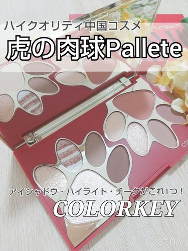 トラ十色アイシャドウパレット/COLORKEY/パウダーアイシャドウを使ったクチコミ（1枚目）