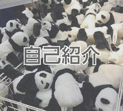 自己紹介/雑談/その他を使ったクチコミ(1枚目)