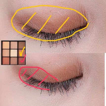 UR GLAM BLOOMING EYE COLOR PALETTE/U R GLAM/アイシャドウパレットを使ったクチコミ(2枚目)