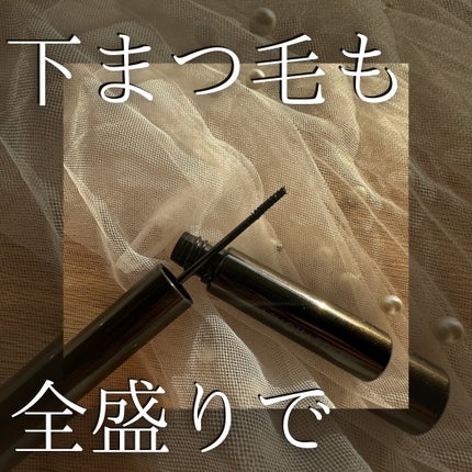 ラッシュガーディアン ナノグラヴィティマスカラ/LASHGUARDIAN/マスカラを使ったクチコミ(1枚目)