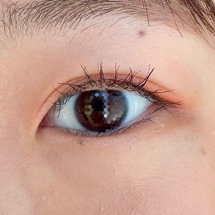 アイプランナー/excel/単色アイシャドウを使ったクチコミ(1枚目)