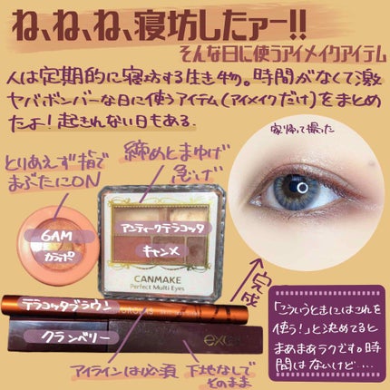 パーフェクトマルチアイズ/キャンメイク/アイシャドウパレットを使ったクチコミ(1枚目)