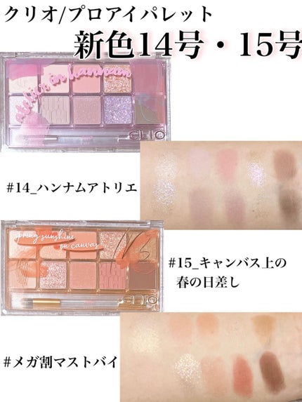 プロ アイ パレット/CLIO/アイシャドウパレットを使ったクチコミ(1枚目)