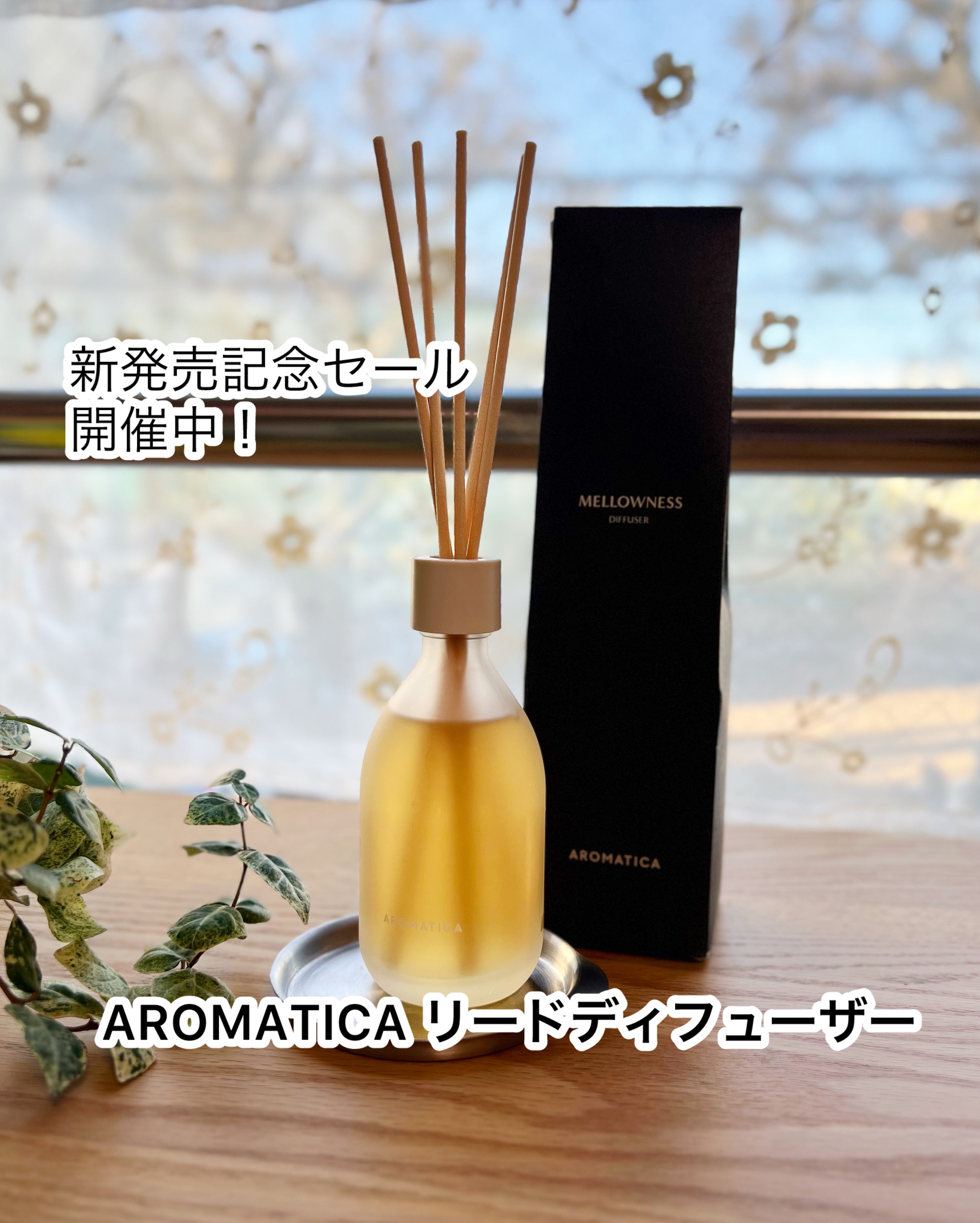 AROMATICA リードディフューザー メロウネス/AROMATICA/ルームフレグランスを使ったクチコミ（1枚目）
