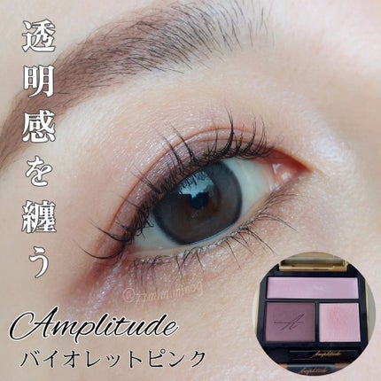 コンスピキュアス アイズ/Amplitude/アイシャドウパレットを使ったクチコミ(1枚目)