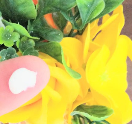 クリーム イン デイ/KANEBO/フェイスクリームを使ったクチコミ(1枚目)