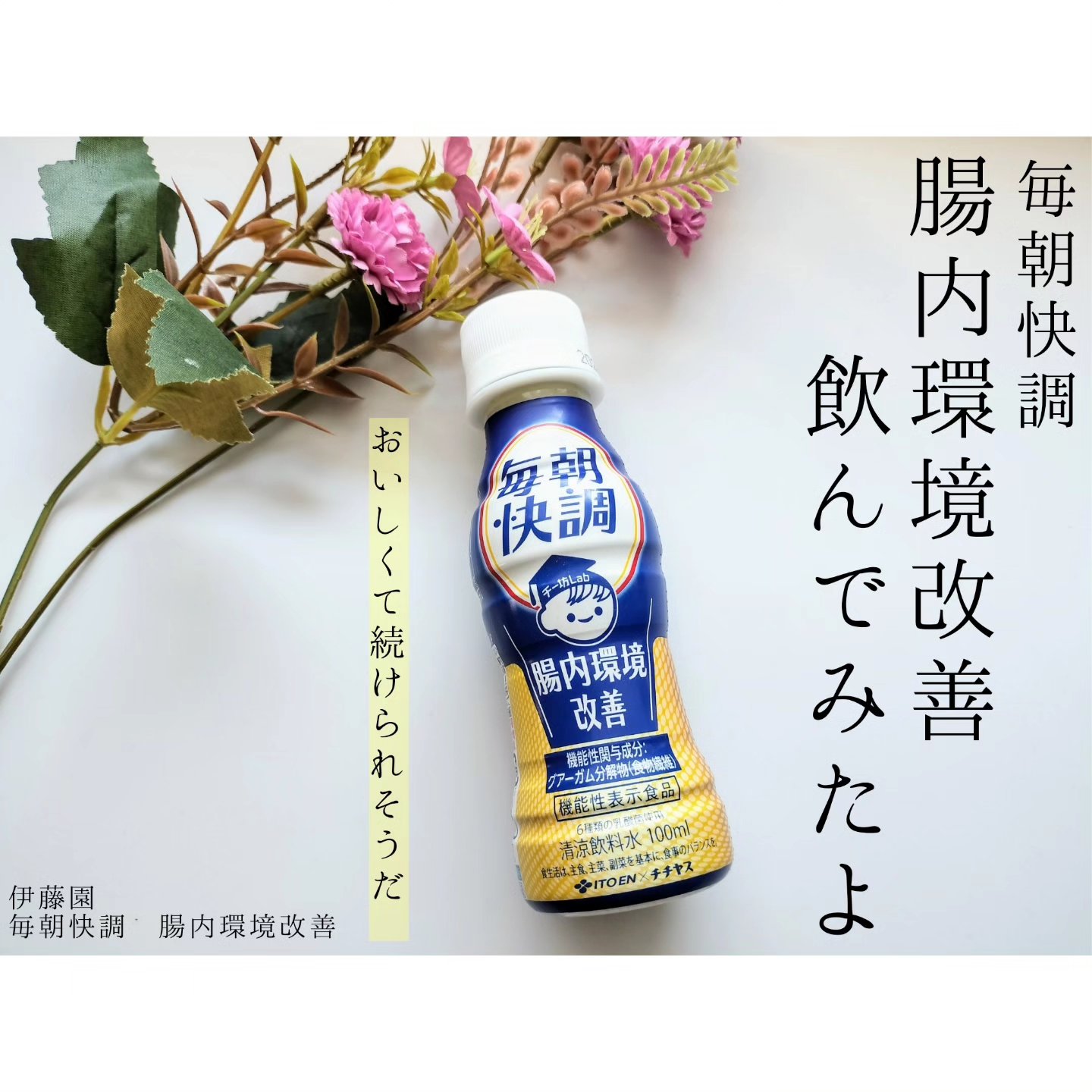 毎朝快調 腸内環境改善/伊藤園/ドリンクを使ったクチコミ（1枚目）