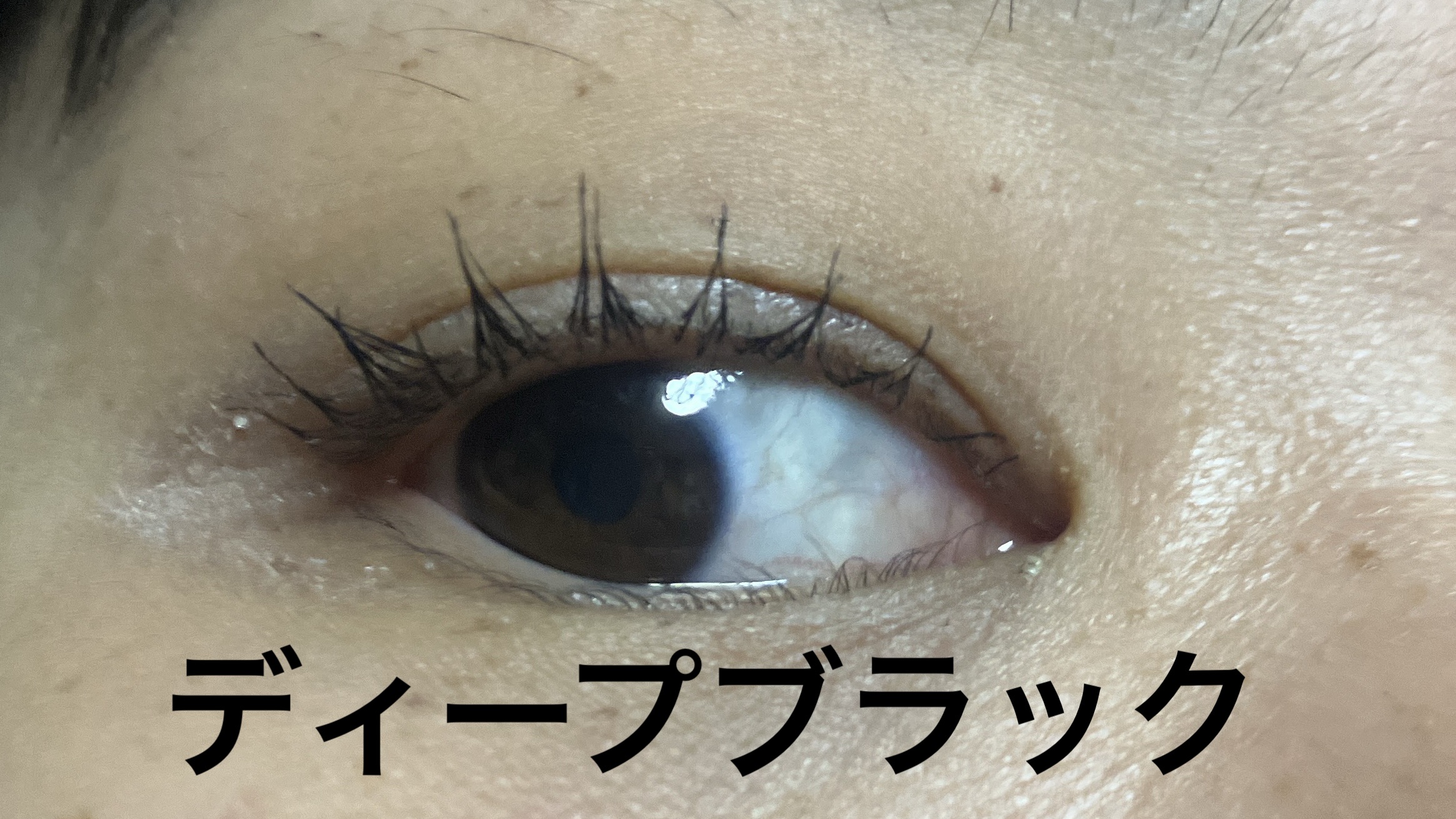 ウォンジョンヨ ヌードアイラッシュ/Wonjungyo/マスカラを使ったクチコミ（3枚目）