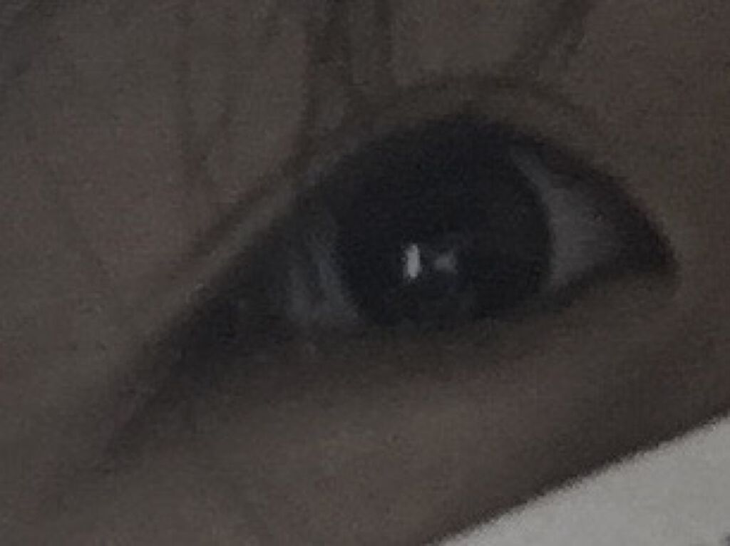 クリア マスカラR/CEZANNE/マスカラ下地を使ったクチコミ（1枚目）