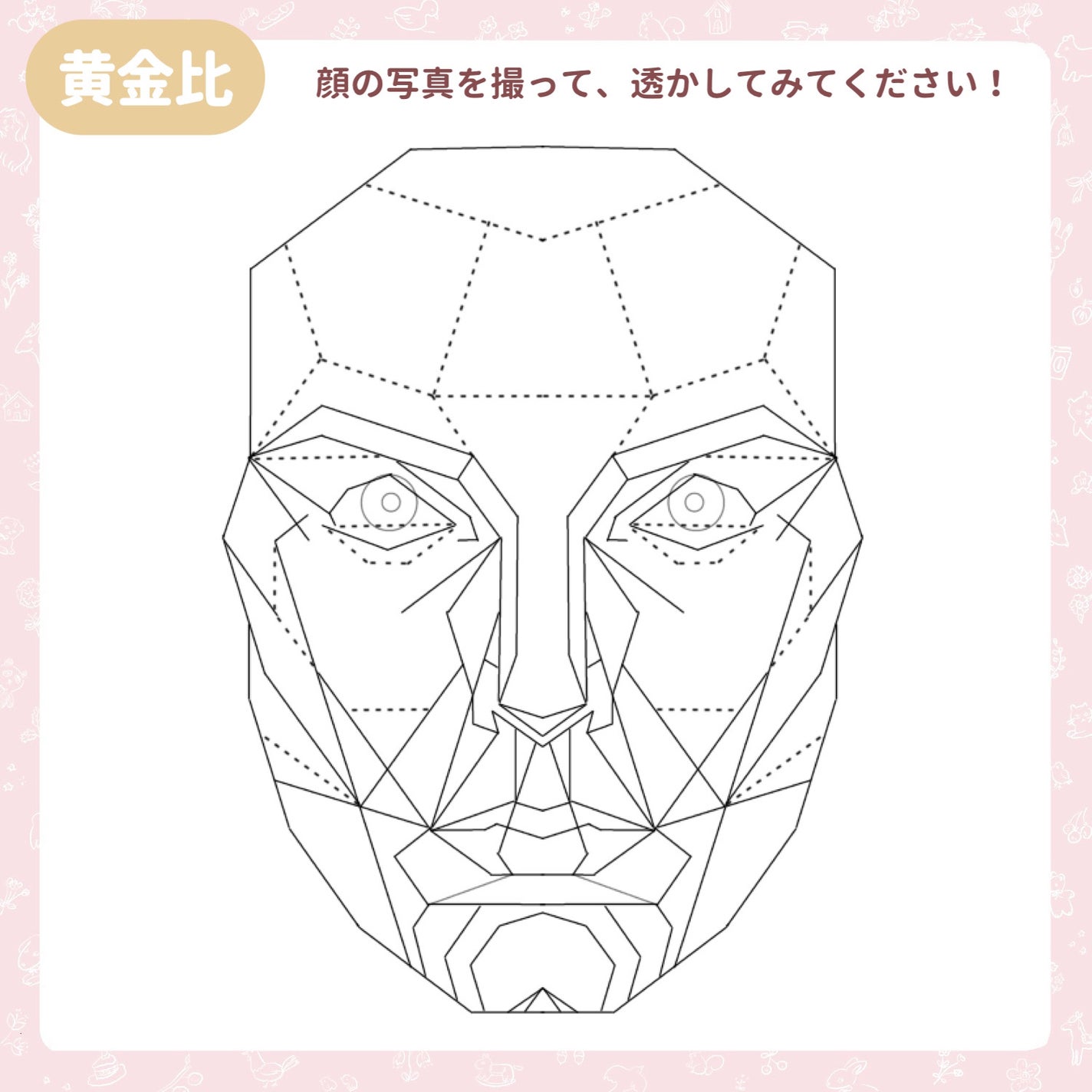 シェーディングパウダー/キャンメイク/シェーディングを使ったクチコミ(3枚目)