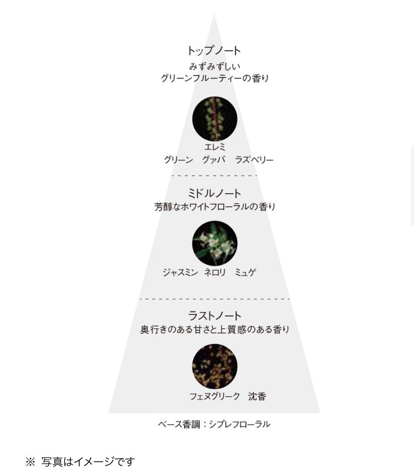 B.A ウォッシュ/B.A/洗顔フォームを使ったクチコミ(7枚目)