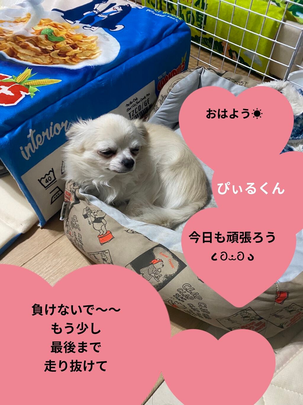 マルチグリッターカラー/ENBAN TOKYO/単色アイシャドウを使ったクチコミ(6枚目)