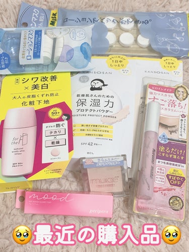 ✨最近の購入品その①✨

結構色んなものを購入しました！
ほぼプチプラなんですけとね！

★乾燥さん
保湿力スキンケア下地 カバータイプ
保湿力プロテクトパウダー

★ナリスアップ
フォーザエフ 薬用 