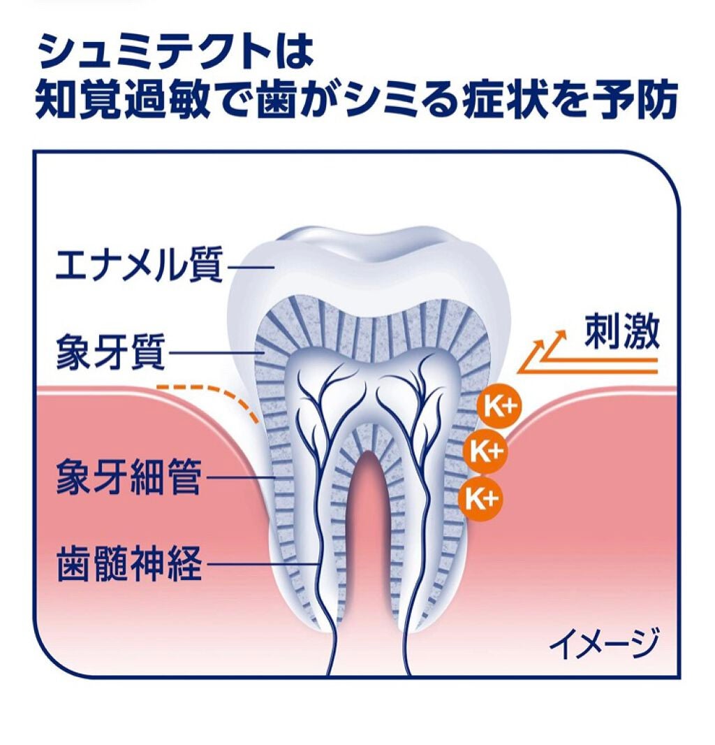 薬用シュミテクト 歯周病ケア/シュミテクト/歯磨き粉を使ったクチコミ(2枚目)