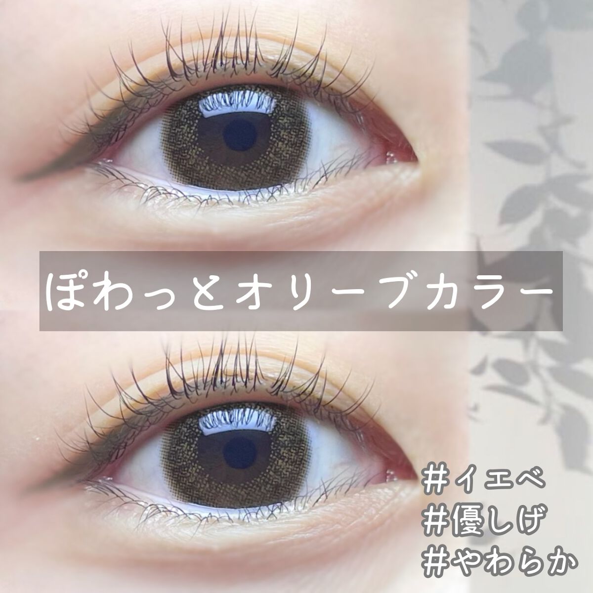 TeAmo 1DAY/TeAmo/ワンデー(1DAY)カラコンを使ったクチコミ(1枚目)