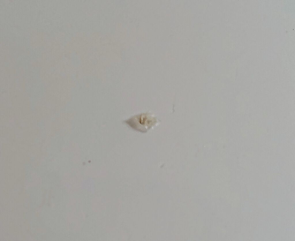 ブライトニングフォーミュラ/メコゾーム/フェイスクリームを使ったクチコミ（2枚目）