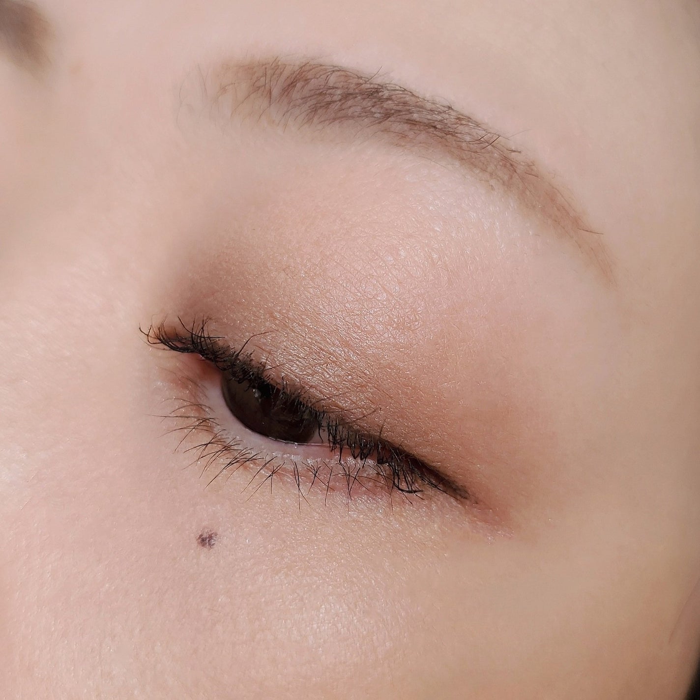 スーパーロング マスカラEX/DHC/マスカラを使ったクチコミ(5枚目)