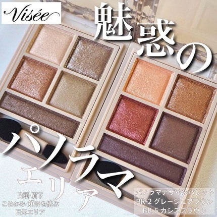 パノラマデザイン アイパレット/Visée/アイシャドウパレットを使ったクチコミ(1枚目)