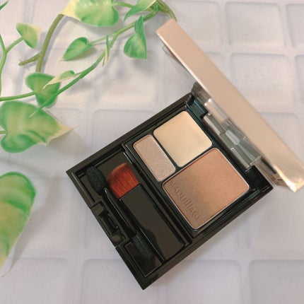 ドラマティックスタイリングアイズS BR734 マロンティー/マキアージュ/アイシャドウパレットを使ったクチコミ(2枚目)