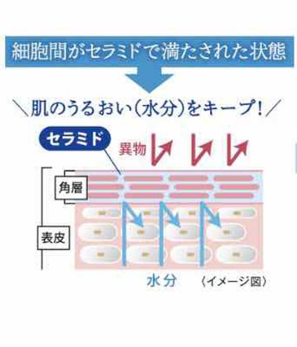 薬用セラミドクイック/DHC/化粧水を使ったクチコミ(2枚目)