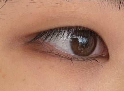 パーフェクトマルチアイズ/キャンメイク/アイシャドウパレットを使ったクチコミ(3枚目)