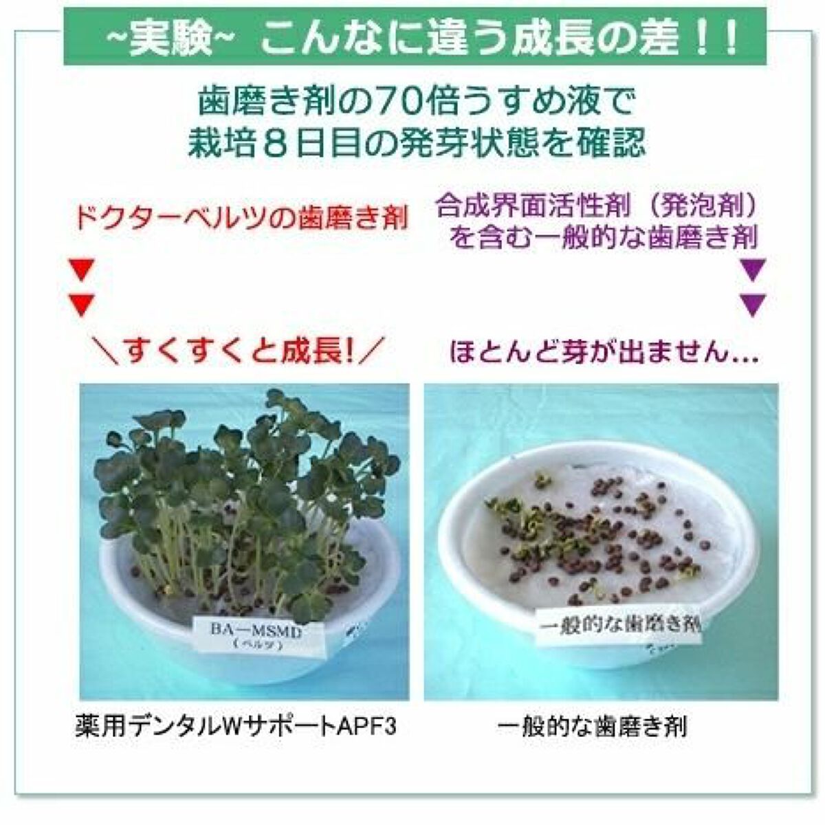 薬用デンタルWサポートAPF3/ドクターベルツ/歯磨き粉を使ったクチコミ（3枚目）