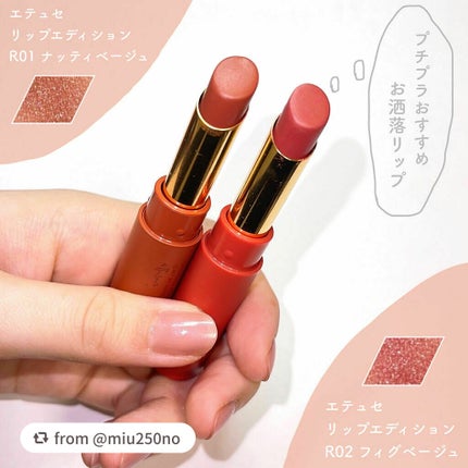 エテュセ リップエディション(ティントルージュ) R レアマットタイプ/ettusais/リップティントを使ったクチコミ(1枚目)