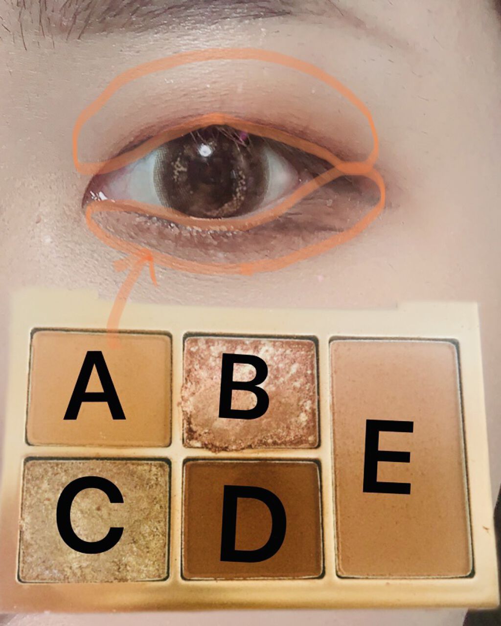 MISSHA イージー フィルター シャドウパレット/MISSHA/アイシャドウパレットを使ったクチコミ（2枚目）