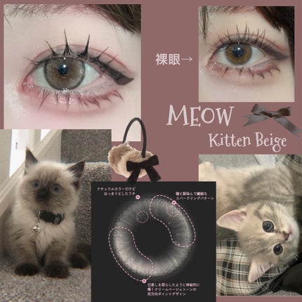 MEOW(ミヤオ) 1month/OLOLA/1ヶ月(1MONTH)カラコンを使ったクチコミ(2枚目)