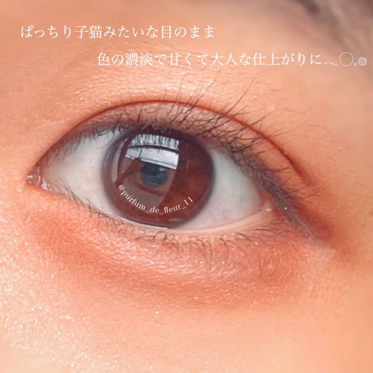 パーフェクトマルチアイズ/キャンメイク/アイシャドウパレットを使ったクチコミ（2枚目）