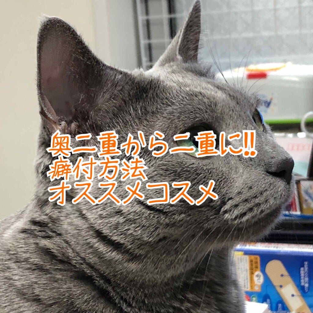 リキッドフィルム/ラクオリ/二重まぶた用アイテムを使ったクチコミ(1枚目)