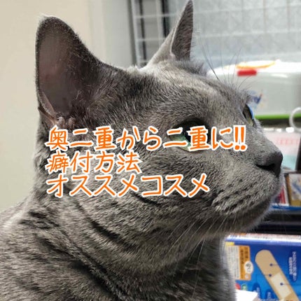 絆創膏/DAISO/その他を使ったクチコミ(1枚目)