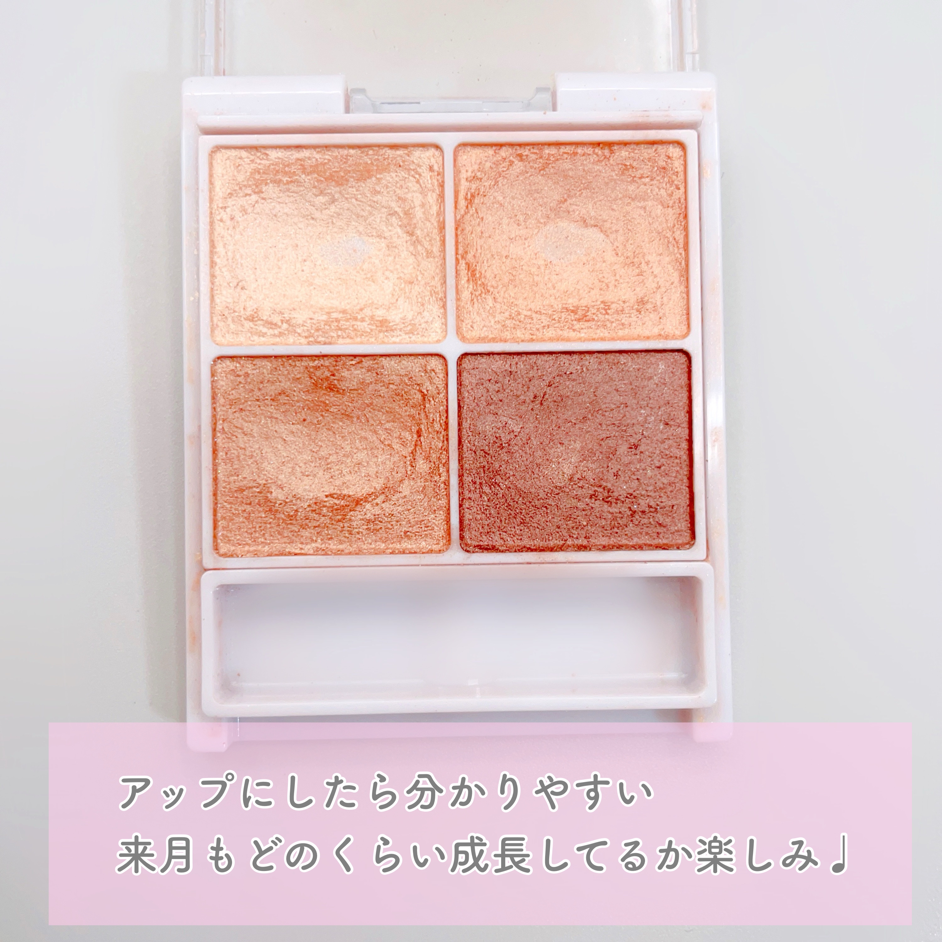 シルキースフレアイズ 01 ノーブルベージュ/キャンメイク/アイシャドウパレットを使ったクチコミ（3枚目）