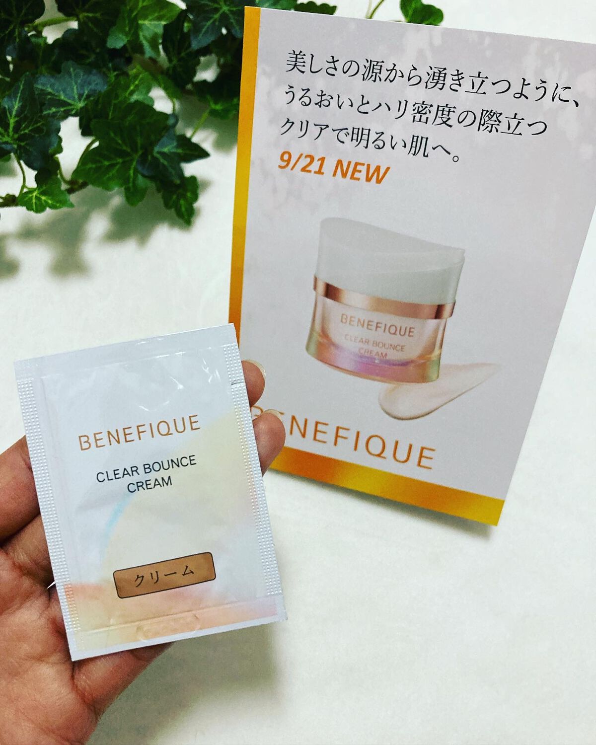 Neem Cream 40g フェイスクリーム Neem Cream | itreatskin